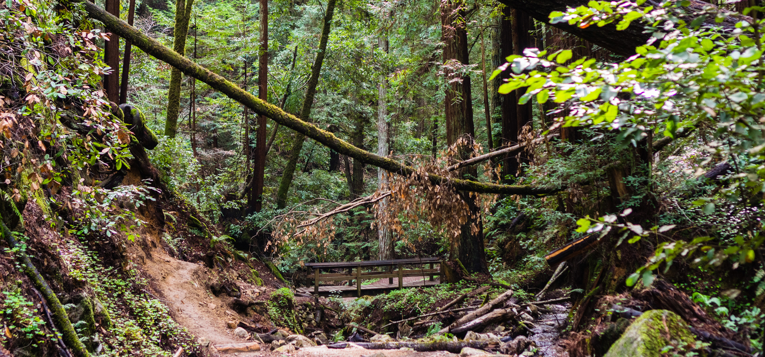 Upgrade Your Trip To Santa Cruz With An Abundance Of Outdoor Activities